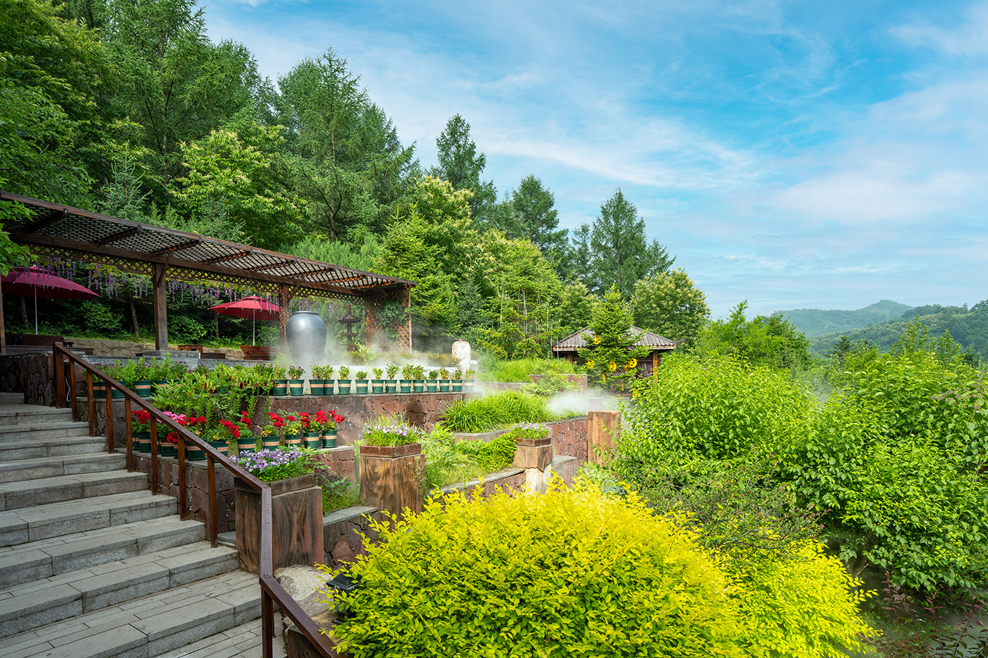 室外一角 (5).JPG