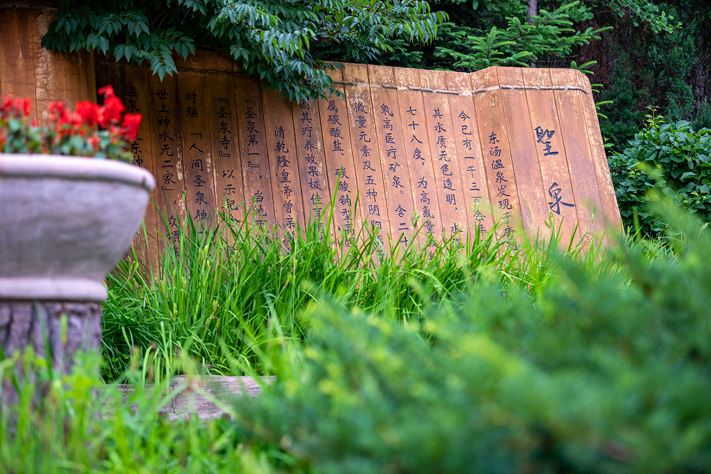 室外一角 (6).JPG